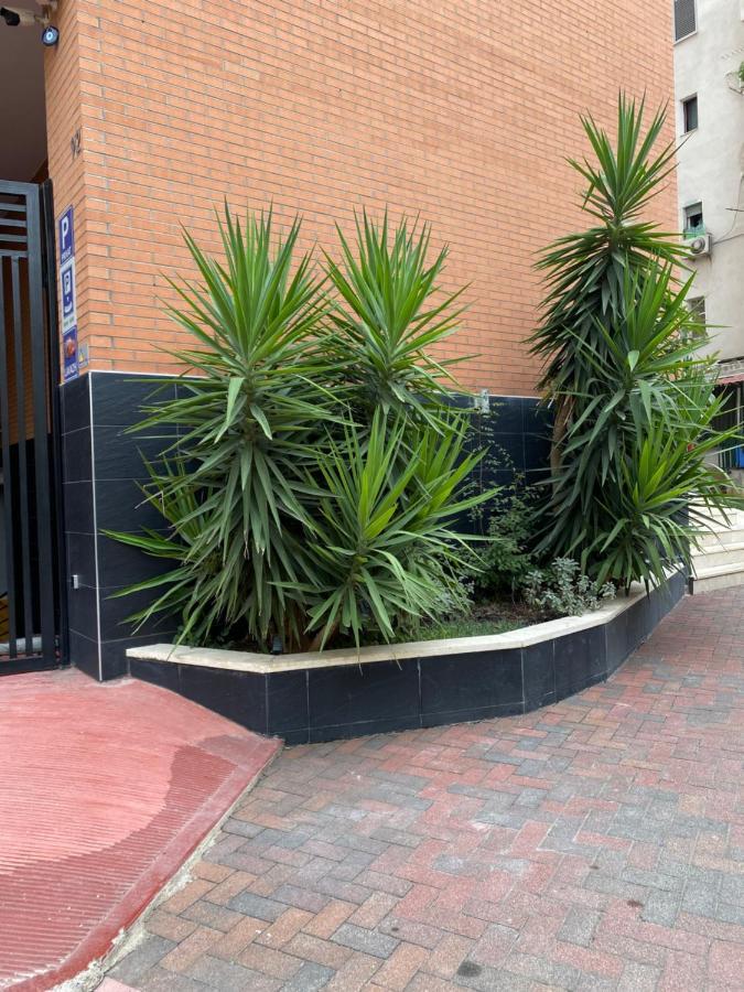 Apartamento Nemis In The Centre Of Four Free Parking