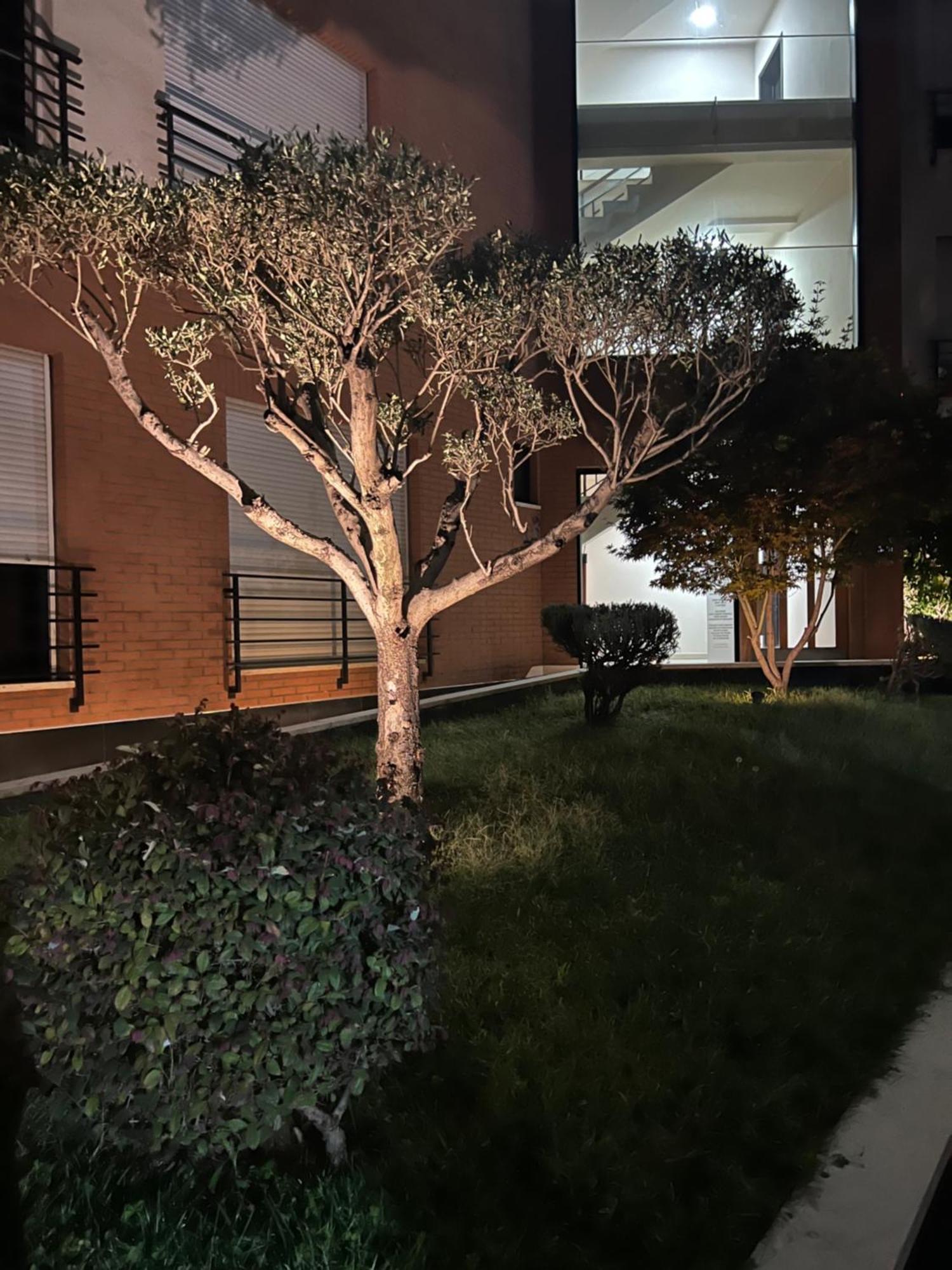 Nemis In The Centre Of Four Free Parking Apartamento *