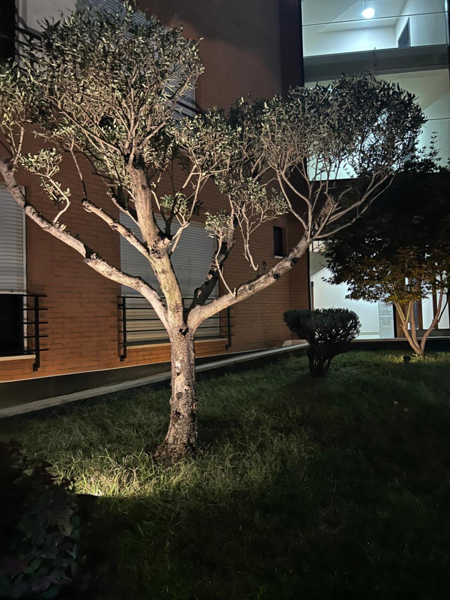 Apartamento Nemis In The Centre Of Four Free Parking