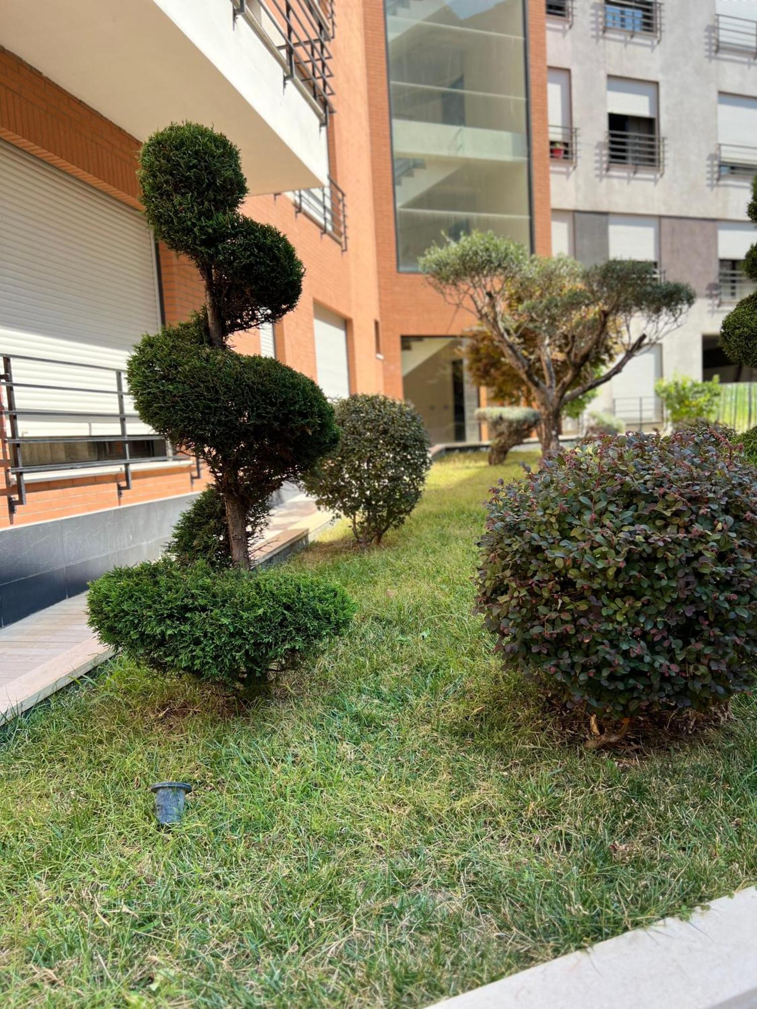 Nemis In The Centre Of Four Free Parking Tirana